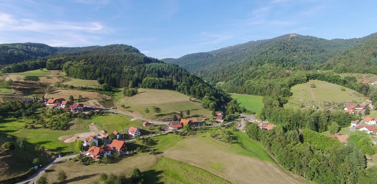 Grimmerswald mit Blick auf die Hornisgrinde